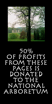   50% of Profits from these pages is donated to the U.S. National Arboretum  