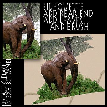   Elephant and Tree -- Silouhette, add rear end, leaves, brush, rotate and place in exhibit panel.  